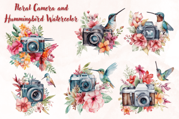 Download Floral Camera and Hummingbird Watercolor - Hummingbird watercolor Collection