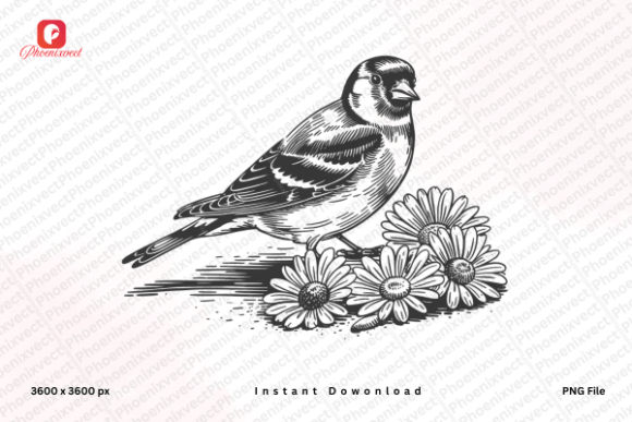 Download Floral Bird Hand Drawn Sparrow Bird PNG - Floral bird Collection