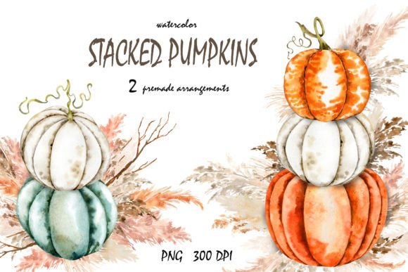 Download Boho Fall Pumpkins, Pampas Grass PNG. - Premium Resources
